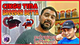 TERJAH BREEDER PUTRAJAYA // CIKGU TINA DENGAN IKAN LAGANYA🤩