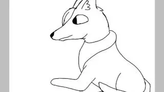 Волчонок 🐺
