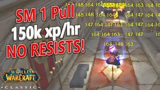WoW Classic - New Meta SM 1 Pull!! 195 Mobs in 15 Minutes!