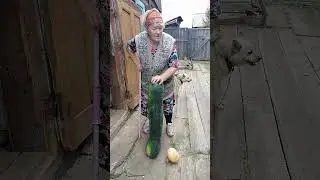 деревня