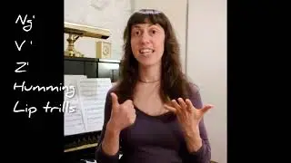 What are the SOVT Exercises? Part 2