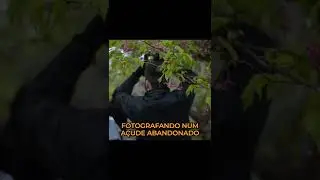 Fotografando num açude abandonado 