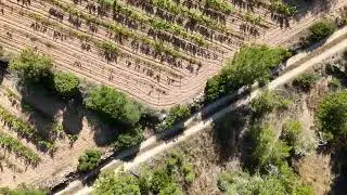 Drone shots: Ojo de Ibiza