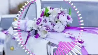 ТУЁНА. ТУЁНА