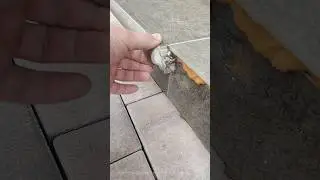 треснули ступени
