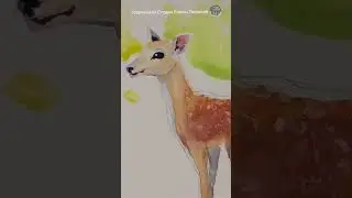 Doe. Watercolor 