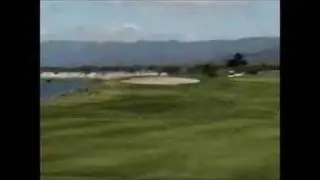 Wandering Golfer