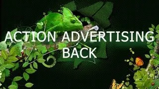 AUDIO JUNGLE NO COPYRIGHT ation advertising back