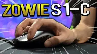 Zowie S1-C 6 Months Later | Zowie S1C Mouse Review