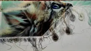 Ясные глазенки - отшив схемы ХИМЕРЫ