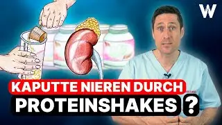 Damaged kidneys from protein shakes? Protein shake consumption and its consequences for body & he...