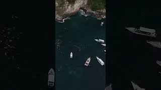 Люди который выглядывают Мант 😅Манты разновидность Скатов 🫣
