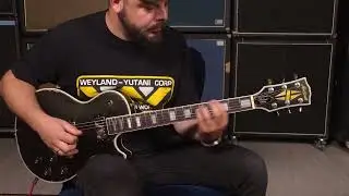 All Guitars in our shop!