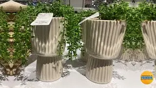 Primark Home Decor New Collection | September 2022