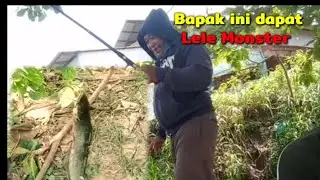 Dapat Lele monster