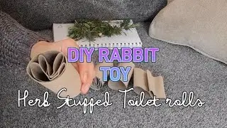 DIY rabbit toys | yet another rabbit toy you can make with a toilet roll..