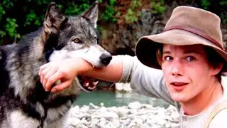 Boy puts his life in danger to save Wolf then Wolf did What..
