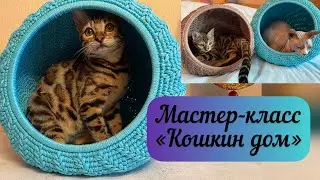 THE CAT WILL BE DELIGHTED🐈😻 Master class on a cat house 🧶🪄🐈‍⬛🐈