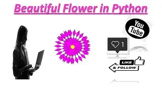 Beautiful flower 🌸 in python