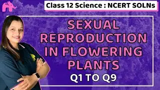 Sexual Reproduction in flowering Plants | Class 12 Bio Biology | Chapter 2 | NCERT Solutions | Q 1-9