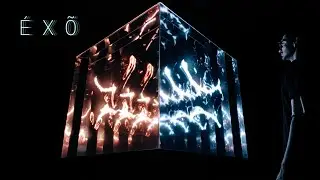TUNDRA - ÉXÕ  installation