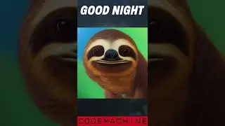 🌙Good Night Sloth😴