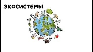 Биология. Разнообразие экосистем. Микро-, мезо- и глобальные экосистемы. Сукцессии.