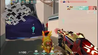 Astra? Breach? and two barrels