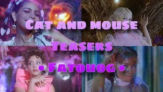 All Four Cat And Mouse Teasers Together