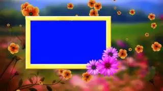 HD Wedding Frame Blue Background & Fallen Flowers Video