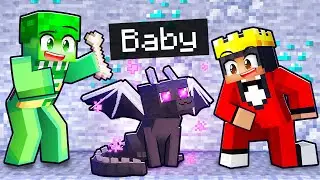 Adopting A BABY DRAGON In Minecraft!