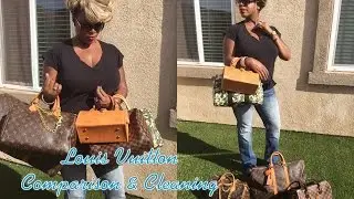 Louis Vuitton Comparison & Cleaning