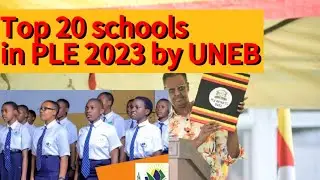Top 20 schools in PLE 2023 with the most 4 in 4 Aggregates