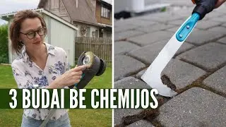 Tarpai tarp trinkelių - 3 būdai sutvarkyti piktžoles nenaudojant chemijos