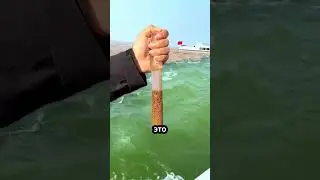 Почему Тихий и Атлантический океаны не смешиваются? 