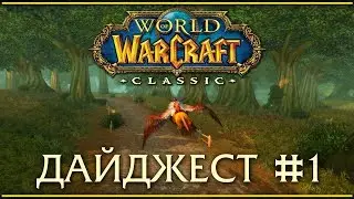 WoW Classic digest #1. Game launch, layers, pvp, my personal progress.