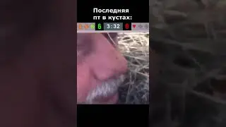 ⭐ КОРОТКО О НЫНЕШНЕМ РАНДОМЕ ⭐