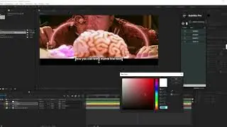 Subtitle Pro - How it works