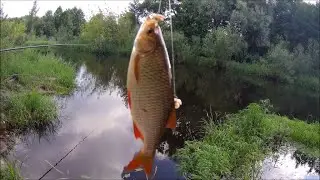 Хутор в лесу. Рыбалка на лесной реке. Уха, шашлыки... Не природа, а сказка!