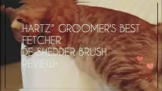 Hartz° Groomer's Best De-shedder° Review