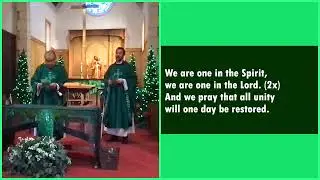 Happy 7th Sunday in Ordinary Time!