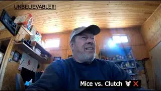 Mice Destroyed Rusty's Clutch!!