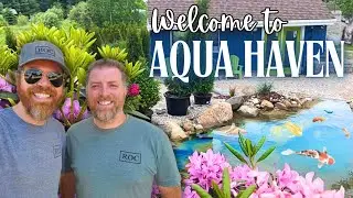 Welcome To Aqua Haven | Your New Channel For Ponds, Waterfalls, Koi Fish, DIY Projects & More