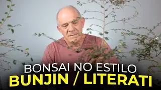 BONSAI DE ULMOS NO ESTILO BUNJIN / LITERATI | Ulmos Nº1 - Vídeo 2