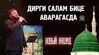 Дирги салам бице Аварагасда ﷺ. Новый нашид Хадиса Сабиева