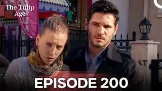 The Tulip Age Episode 200