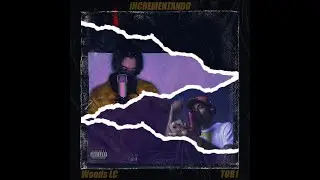 T0B1 & Woods LC - Incrementando (Audio)