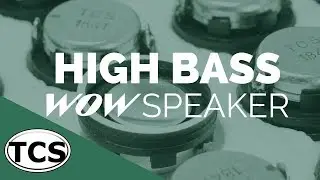 TCS High Bass Speaker