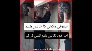 Honeycomb || مکھیوں کے چھتے سے شہد نکالنا