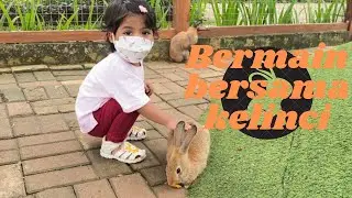 Bermain Bersama Kelinci